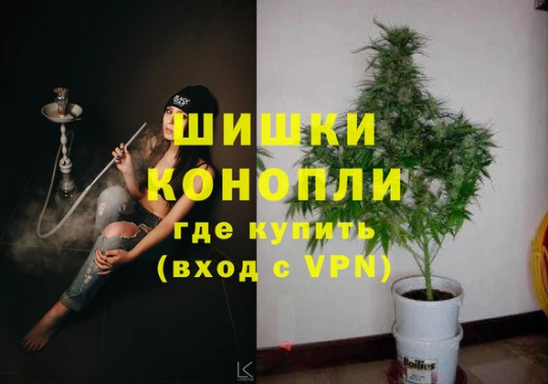 MESCALINE Бородино