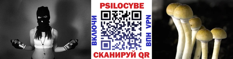 Псилоцибиновые грибы мицелий  Кинешма 